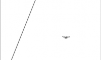 The Spider and the Fly