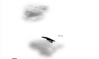 Flyes Flyer