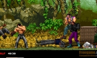 Ikari Warriors 2010