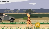 Run Horace, Run!