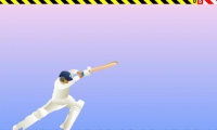 Top Spinner Cricket