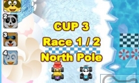 Racoon Racing