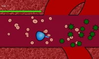 Macrophage