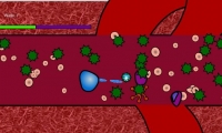 Macrophage
