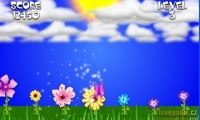 FlyButterFly