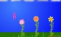 FlyButterFly