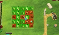 Little Farm