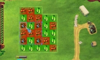 Little Farm