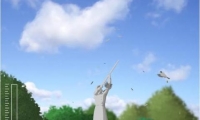 Damn birds