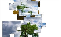 Jigsaw: Lonely Tree