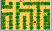 Pacs Jungle Trip