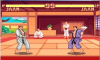 Super Fighter