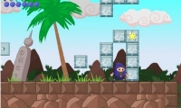 Swordless Ninja