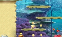 Turtle Odyssey