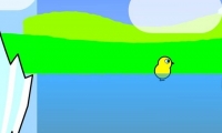  DuckLife
