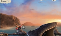 Coast Bike