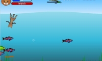 Diving Cat 