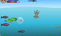 Diving Cat 