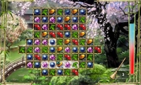 Age Of Japan