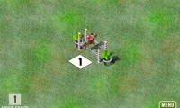 Show Jumping