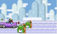 Mario Snow 2