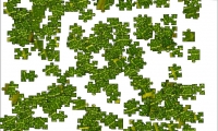 Jigsaw: Leaf Veins