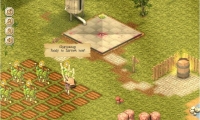 My Vineyard