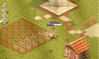 My Vineyard