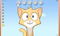 Paw Frenzy