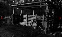 Ghostscape 2: The Cabin