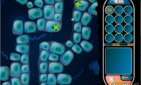 Cell Defense