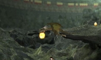 Harry Potter Golden Egg 