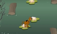 Scoobydoo Lost His Track 